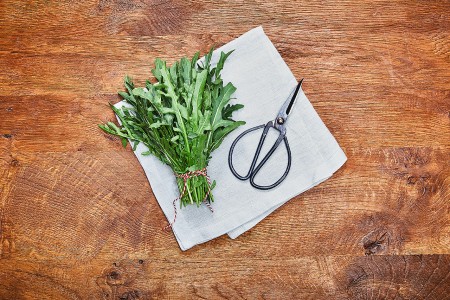 Rucola