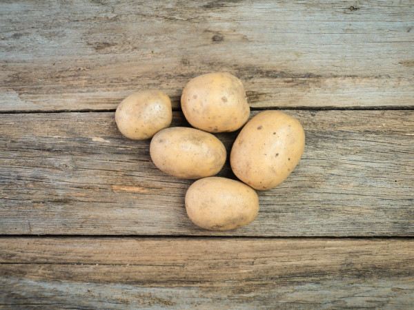Bio Kartoffeln festkochend