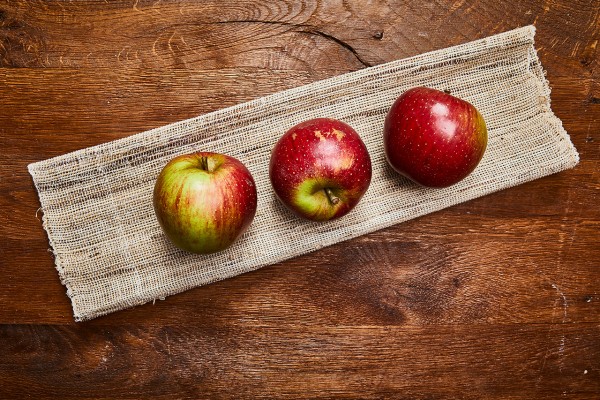 Apfel Wellant