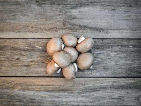 Bio Steinchampignon