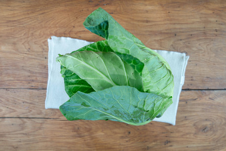Spitzkohl