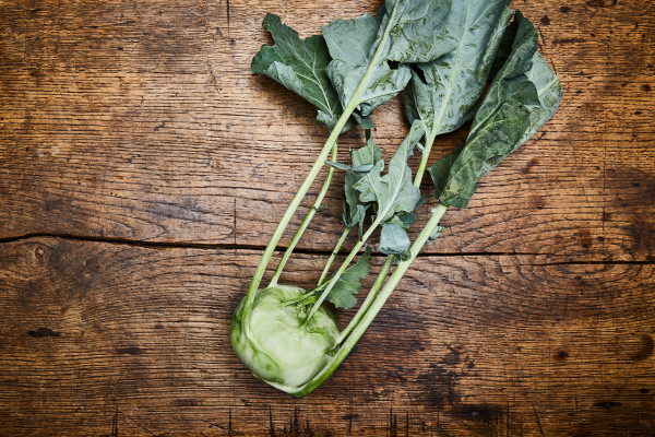 Kohlrabi Bio