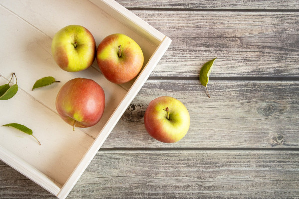 Apfel Delbarestivale